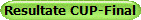 Resultate CUP-Final
